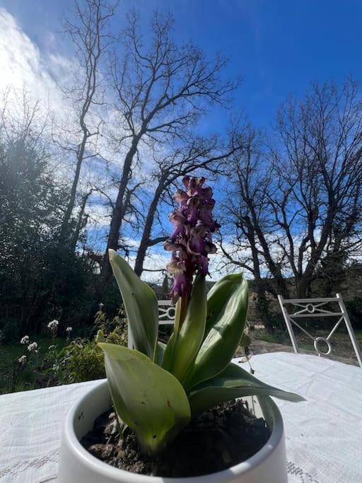 Villa Au Coeur De La Provence Evenos Bagian luar foto